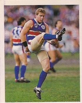 1993 Select AFL Stickers #109 Stephen MacPherson Front